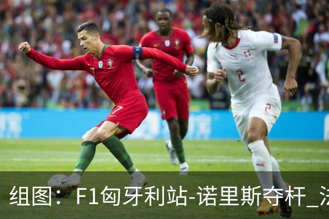 组图：F1匈牙利站-诺里斯夺杆 法拉利斩获二三位